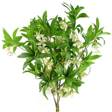 Pegdev Pack of 6 90cm Artificial Hainan Elaeocarpus Stem Green Foliage
