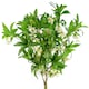 image 1 of Pegdev Pack of 6 90cm Artificial Hainan Elaeocarpus Stem Green Foliage