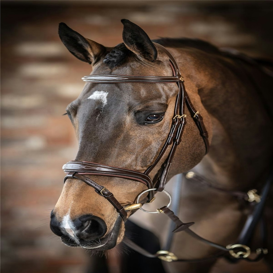 image 1 of LeMieux Competition Flash Bridle Black | X-Full