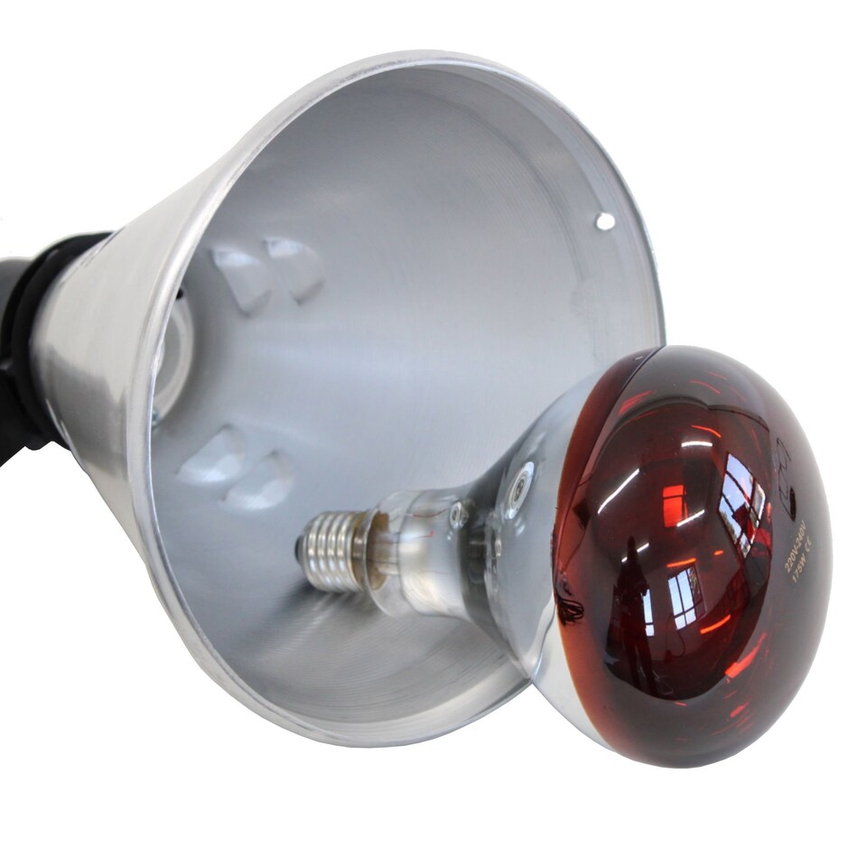 image 1 of Poultry Heat Incubator Lamp 175W with Red Bulb For Chicks Puppies