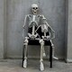 image 5 of Living and Home Halloween Realistic Full Body Skeleton  Posable Prop - 90cm