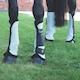 image 2 of ARMA Horse Fly Turnout Socks (Pack of 4) - Black - Pony