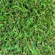 image 1 of 25mm Artificial Grass - 3m x 8m  - Natural and Realistic Looking Fake Lawn Astro Turf | Green | 3M x 8M | 1