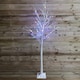 image 8 of 1.8m (6ft) Outdoor Christmas Light Up White Birch Tree with 80 Multicoloured LEDs