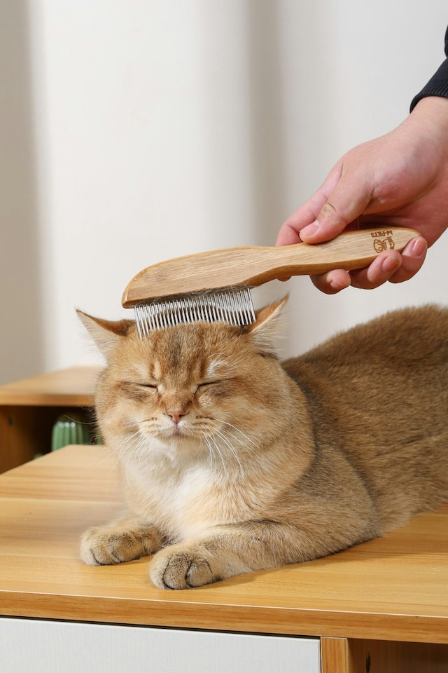 image 1 of M-PETS Bamboo Regular Comb with Rotating Teeth - 31  teeth