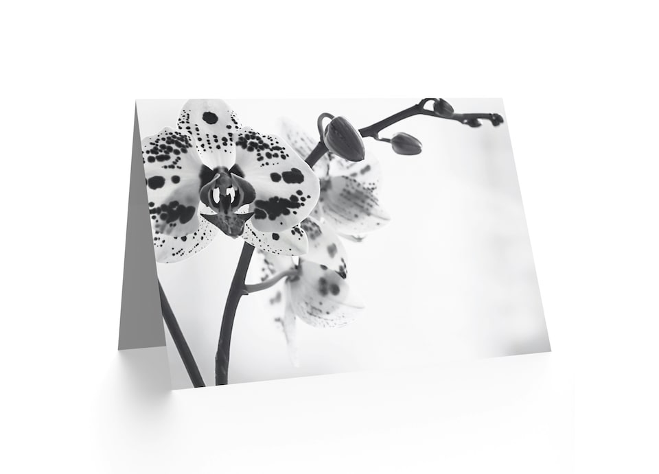 image 1 of Spotted Orchid Photograph Art Blank Just to Say Card