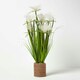 image 5 of Homescapes Artificial Open Flower Grass Plant In Rope Pot, 74 cm Tall