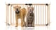 image 1 of Bettacare Wooden Multi Panel Flexible Pet Barrier, Natural Wood, up to 156cm Wide, Dog Barrier for Pets Dogs and Puppy | Cream | Natural