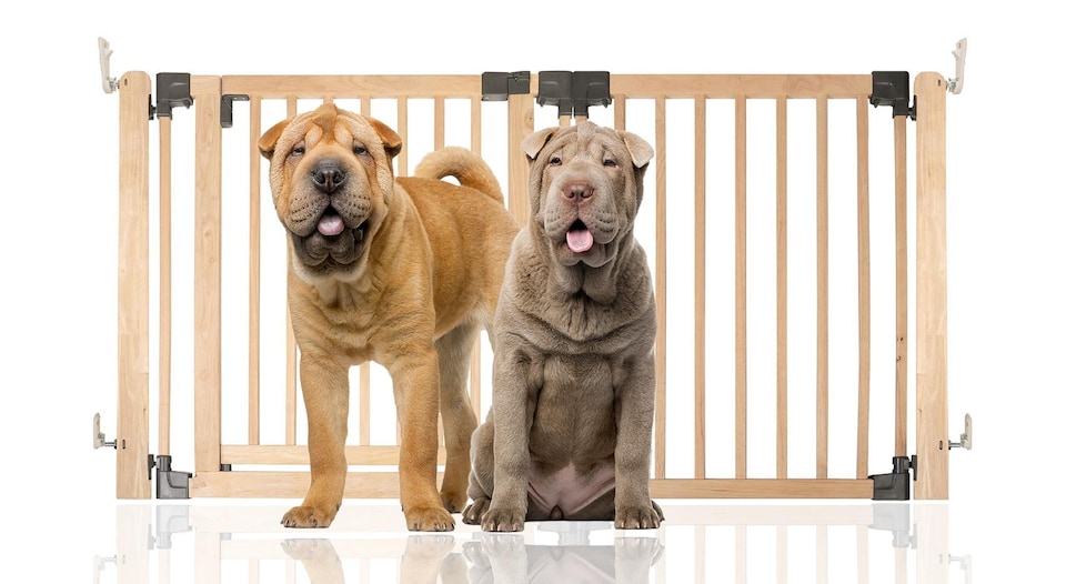 image 1 of Bettacare Wooden Multi Panel Flexible Pet Barrier, Natural Wood, up to 156cm Wide, Dog Barrier for Pets Dogs and Puppy | Cream | Natural