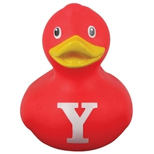 Bud Duck Letter Y