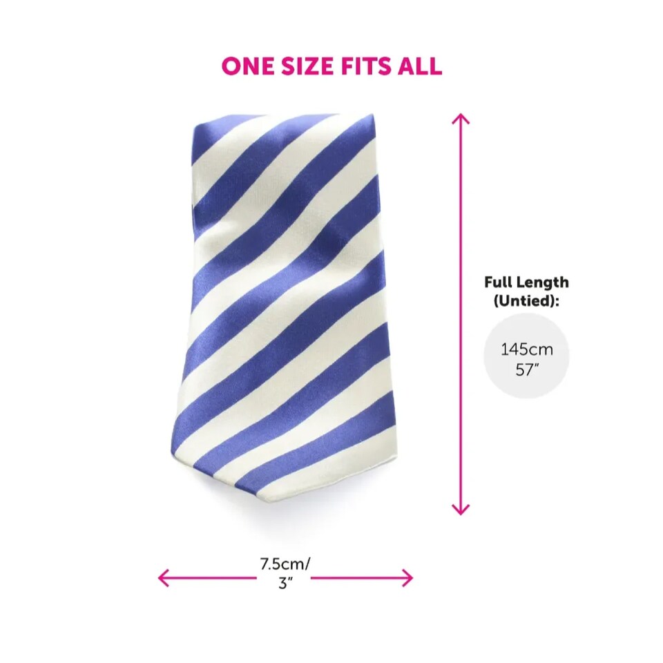 image 1 of Jay Costume Set - Jumper, Wig & Blue Tie | Multi | 2XL