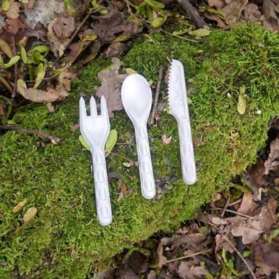 image 1 of White Compostable Bagasse Spoons - Pack of 100