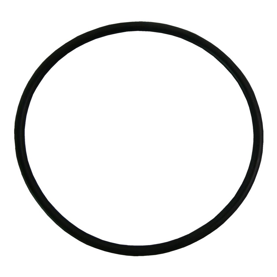 Plastica O Ring NT Size 343
