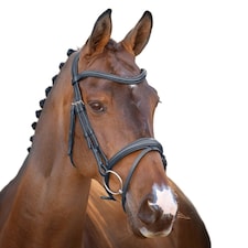 Velociti Lusso Raised Flash Leather Horse Flash Bridle - Black - Pony
