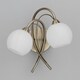 image 4 of BHS Soni 2 Light Wall Light, Brass