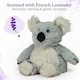 image 9 of Warmies Koala Junior Plush Microwavable Heat Pad, Hot or Cold Cuddly Plushie, Lightly Scented with French Lavender, Soft Microwave Heat Cushion