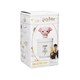 image 3 of Collector's Box Boxed  (14cm) - Harry Potter Kawaii (Dobby)