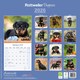 image 2 of Rottweiler Puppies 2026 Calendar | Square Wall Calendar | Dog Breed Gift | Plastic Free Packaging | by Avonside Publishing