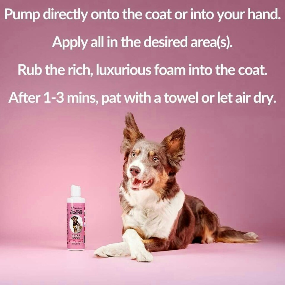 image 1 of No-Rinse Skin & Coat Foam