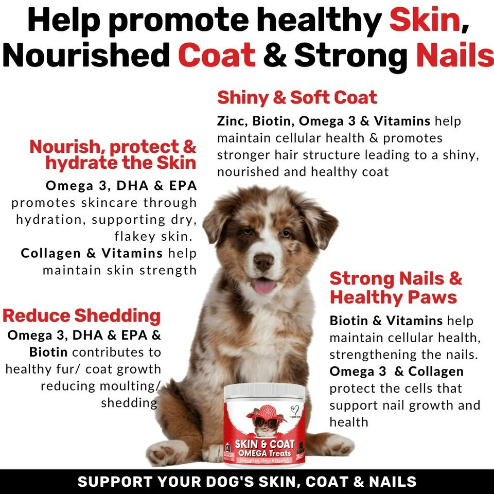 image 1 of Skin & Coat Treats