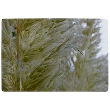 Autumn Pampas Grass Close Up Designer Rug | Multi