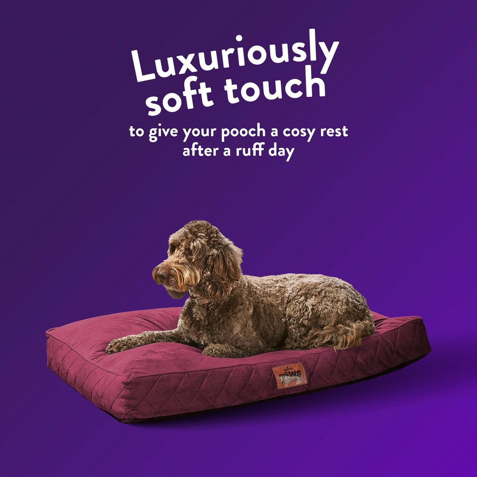 image 1 of Paws for Slumber Pet Bed Cover, Burgundy, Large