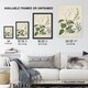 image 3 of New Zealand Swamp Mazus Flowering Plant Featon Huge Wall Art Print 18X24 In