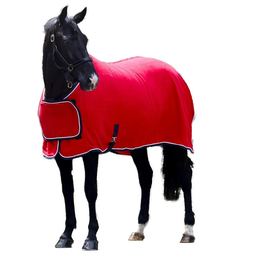 Whitaker Standard-Neck Contrast Horse Turnout Rug - Red/Blue - 5´