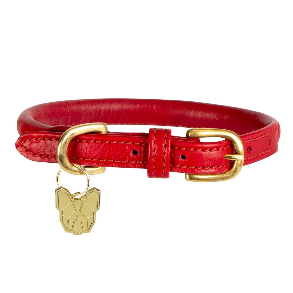 Digby & Fox Rolled Leather Buckle Dog Collar - Scarlet - XXS - Neckline: 23cm-28cm