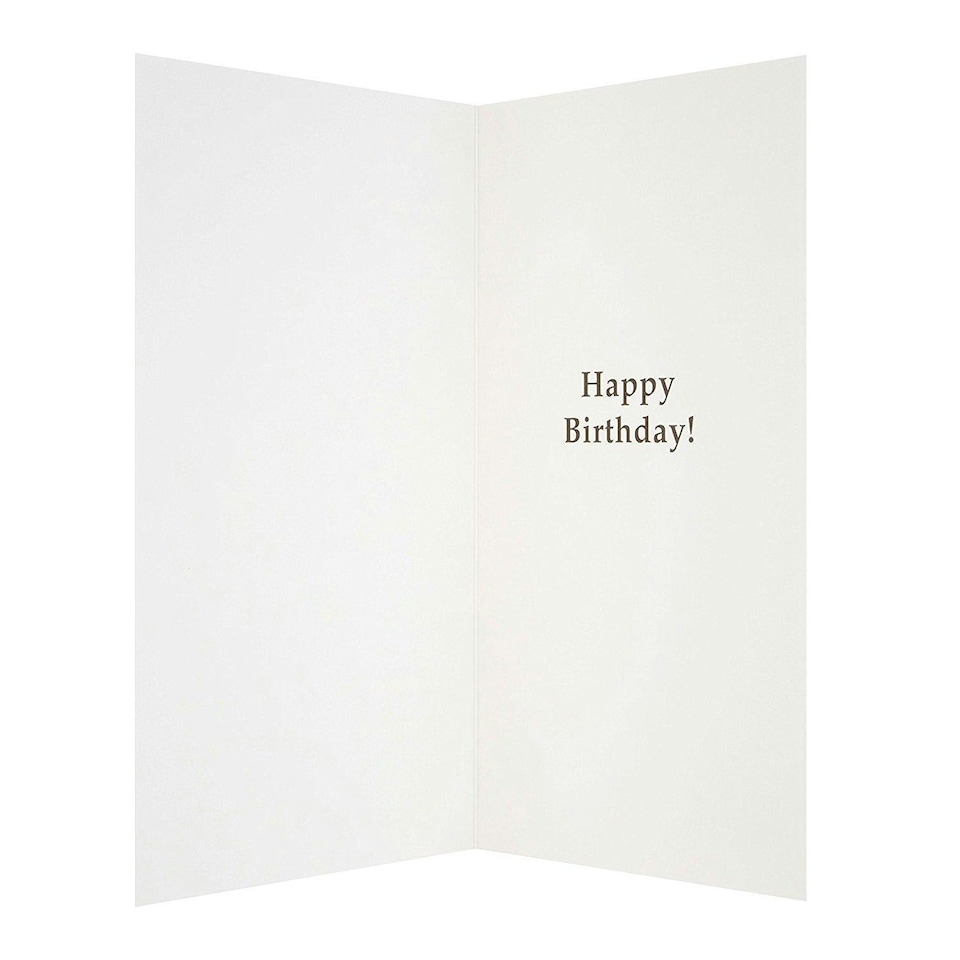 image 1 of Funny Happy Birthday Humour Card 'Delivery Boy'