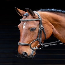 Shires Salisbury Brampton Bridle Black | Size: Cob
Colour: Black