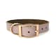 image 1 of Skye & Murphy Luxury Padded Leather Dog Collar Pink | S