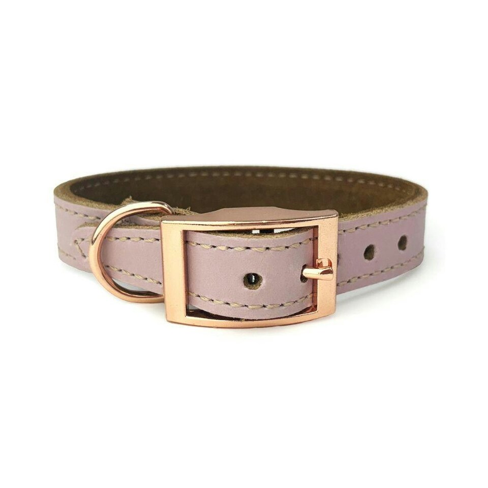 image 1 of Skye & Murphy Luxury Padded Leather Dog Collar Pink | S