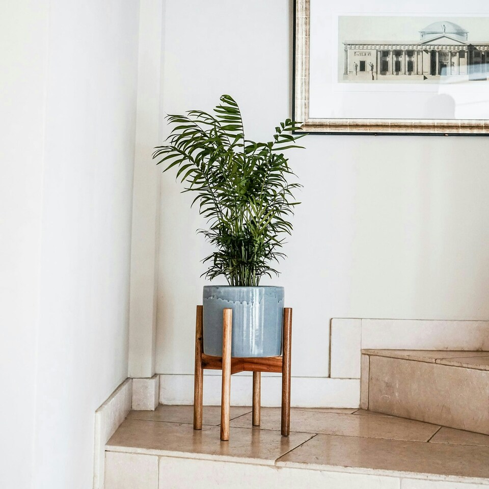 image 1 of Anzio Planter with Wooden Stand - Ceramic - L24 x W24 x H38.5 cm - Warm Grey | Grey