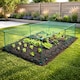 image 1 of GardenSkill Fruit & Vegetable Cage Kit with Insect Mesh 1.25m x 0.625m H - Quick Build Garden Crop Protection Frame for Brassicas, Raised Beds