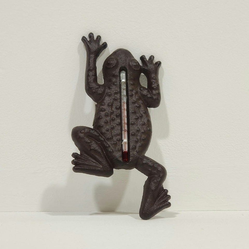 image 1 of Homescapes Cast Iron Thermometer Frog