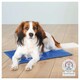 image 2 of Trixie Cooling Dog Mat - M (50 x 40cm)