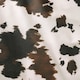 image 3 of Fusion Cow Print Duvet Cover Set Natural