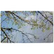 image 2 of Tree Branches & Sky (Bath Towel)