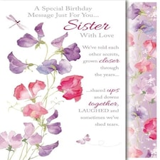 Words 'n' Wishes Traditional A Special Birthday Message just for You Sister Card ~ Medium Size 8.5"x6"