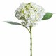 image 2 of Lace Cap Hydrangea Artificial Plant - Fabric/Plastic - L25 x W25 x H48 cm - White