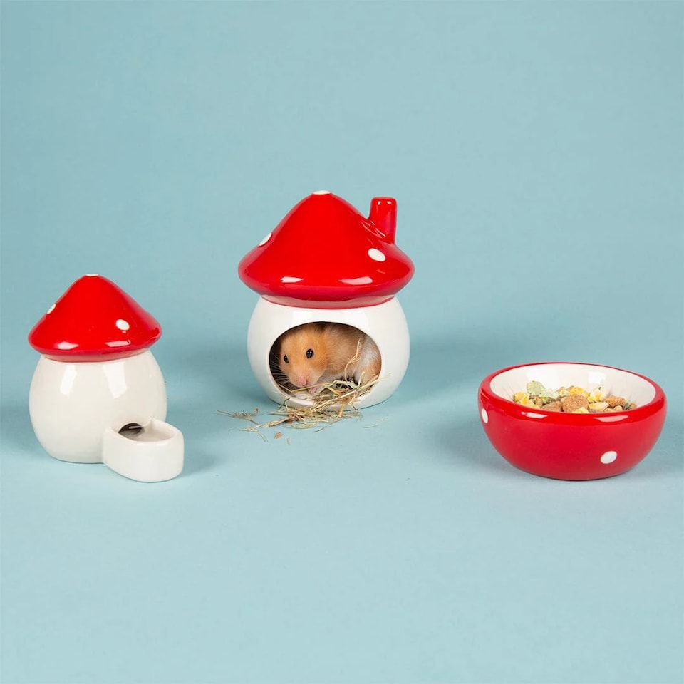 image 1 of Scruffs Small Pet Toadstool Ceramic Set - House, Food Bowl & Water Well