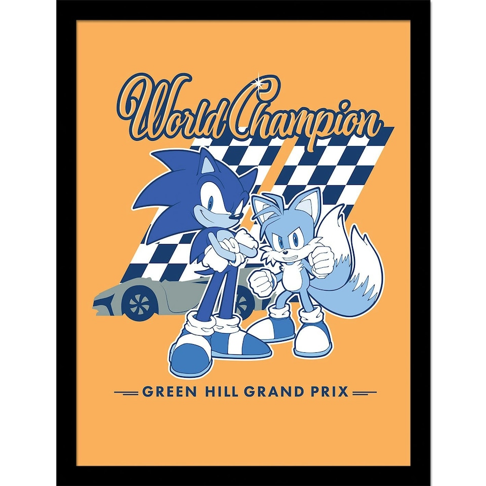 image 1 of Sonic The Hedgehog (World Champion) Framed 30x40cm Print