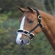 image 1 of Shires Fleece Lined Lunge Cavesson Black | Size: X-Full
Colour: Black