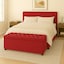 Red Plush Velvet