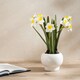 image 2 of 42Cm Daffodil Spray In Ceramic Pot Yellow | One Size