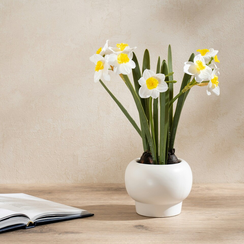 image 1 of 42Cm Daffodil Spray In Ceramic Pot Yellow | One Size