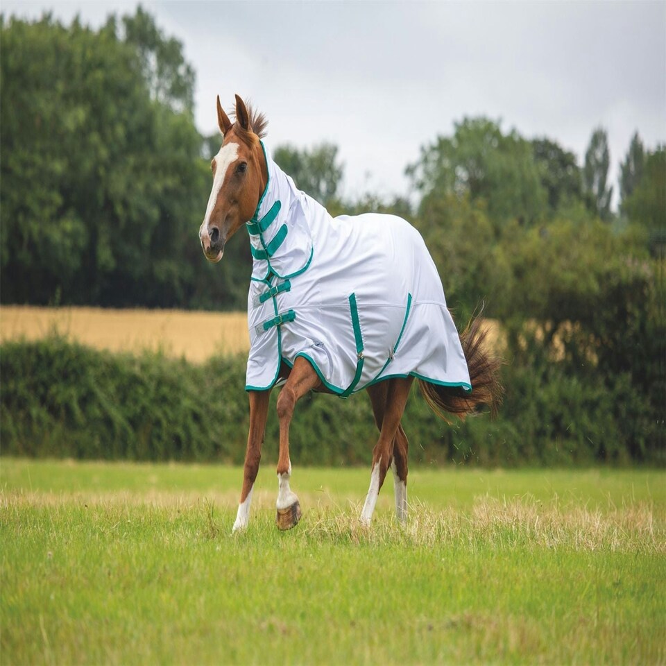 image 1 of Shires Tempest Fly Combo White | Size: 5ft 0
Colour: White