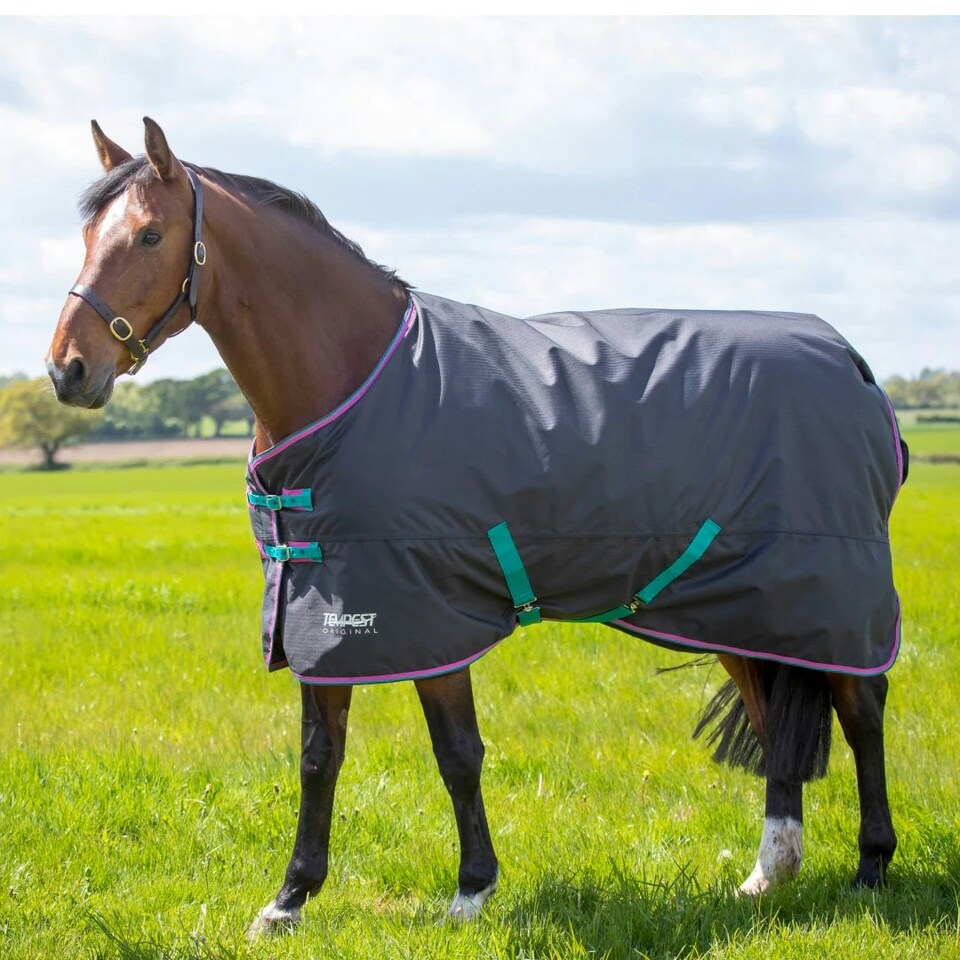 Tempest Original 300 Horse Turnout Rug - Black - 7´ 3"