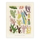 image 1 of Great Barrier Reef Corals Marine Life Kent Huge Wall Art Print 18X24 In